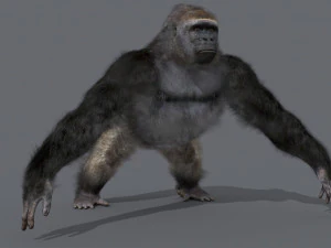 King Kong Silverback Gorilla 8K- 3d animated 3D Model