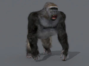 King Kong Silverback Gorilla 8K- 3d animated 3D Model