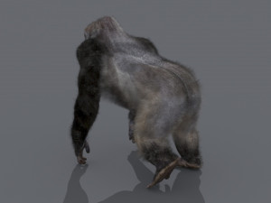 King Kong Silverback Gorilla 8K- 3d animated 3D-Modell