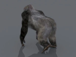 King Kong Silverback Gorilla 8K- 3d animated 3D Model