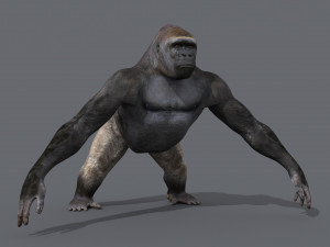 King Kong Silverback Gorilla 8K- 3d animated 3D-Modell