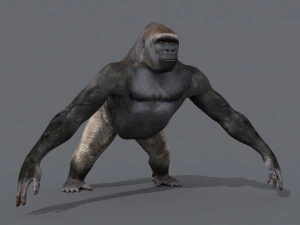 King Kong Silverback Gorilla 8K- 3d animated 3D Model