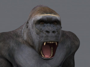 King Kong Silverback Gorilla 8K- 3d animated 3D-Modell
