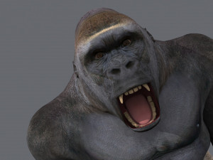 King Kong Silverback Gorilla 8K- 3d animated 3D-Modell