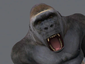 King Kong Silverback Gorilla 8K- 3d animated 3D Model
