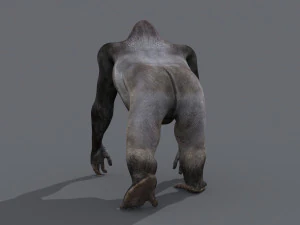 King Kong Silverback Gorilla 8K- 3d animated 3D Model