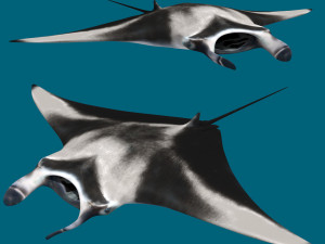 Manta Ray 8K- 3d animated Modelo 3D