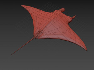 Manta Ray 8K- 3d animated Model 3D