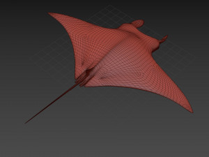 Manta Ray 8K- 3d animated Model 3D