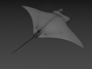 Manta Ray 8K- 3d animated Model 3D