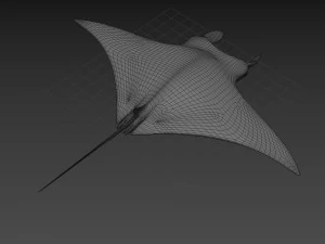 Manta Ray 8K- 3d animated 3D Model