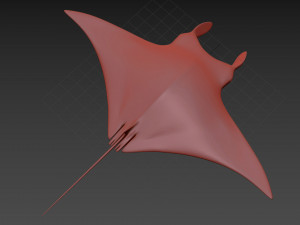 Manta Ray 8K- 3d animated Model 3D