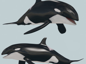 Killer Whale 8K- 3d animated Modelo 3D
