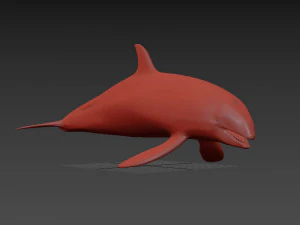Killer Whale 8K- 3d animated 3D Model
