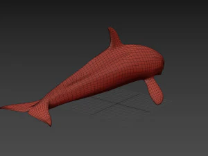 Killer Whale 8K- 3d animated 3D Model