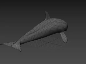 Killer Whale 8K- 3d animated 3D Model