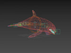 Killer Whale 8K- 3d animated 3D Model