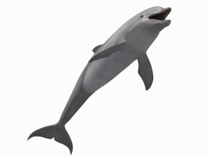 3D Animated Dolphin Modelo 3D