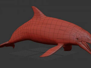 3D Animated Dolphin 3D Model