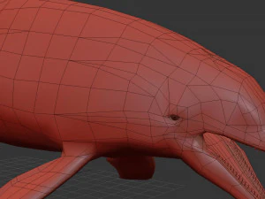 3D Animated Dolphin 3D Model