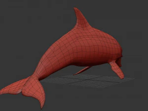 3D Animated Dolphin 3D Model