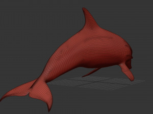 3D Animated Dolphin Modelo 3D