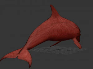 3D Animated Dolphin 3D Model