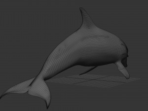3D Animated Dolphin Modelo 3D