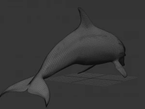 3D Animated Dolphin 3D Model