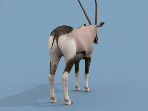 PRO Oryx 3D Model