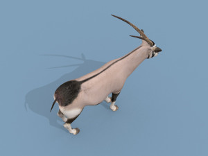 PRO Oryx 3D 모델