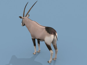 PRO Oryx 3D 모델