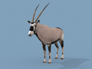 PRO Oryx 3D 모델