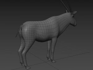 PRO Oryx 3D Model