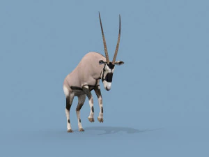 PRO Oryx 3D Model