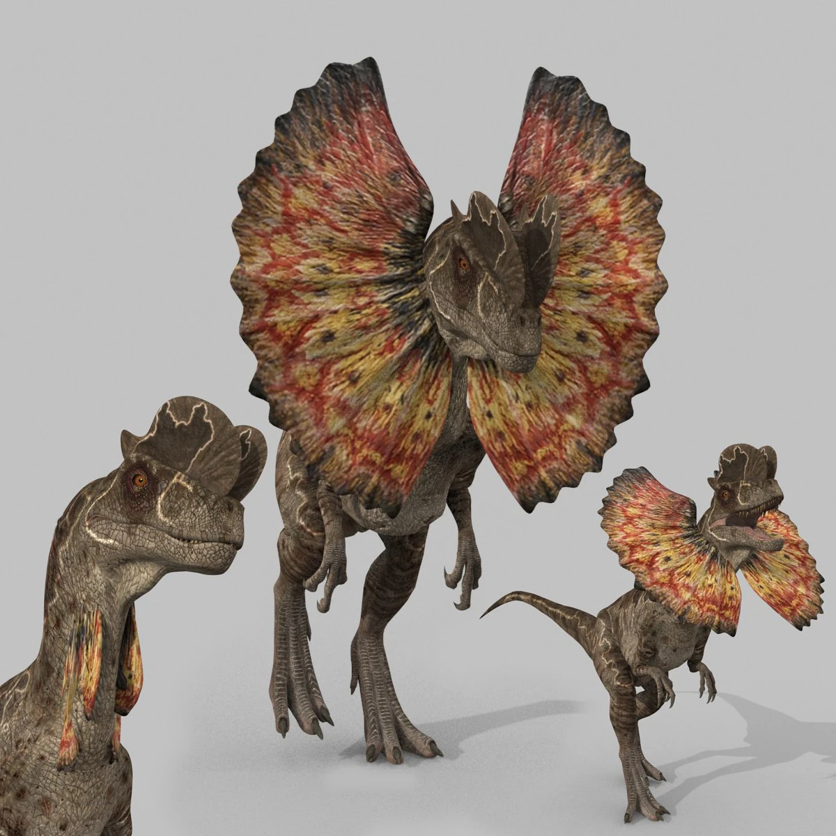 Dilophosaur Forever - 8K 3D Model .c4d .max .obj .3ds .fbx .stl .blend