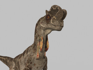 Dilophosaur Forever - 8K 3D Model