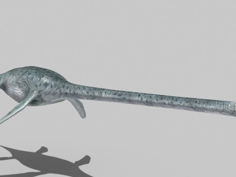 Real Plesiosaur Elasmosaur - 8K Modello 3D