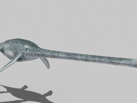 실제 수장룡 Elasmosaur - 8K 3D 모델