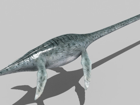 Real Plesiosaur Elasmosaur - 8K Modello 3D