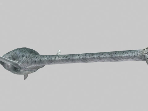 실제 수장룡 Elasmosaur - 8K 3D 모델