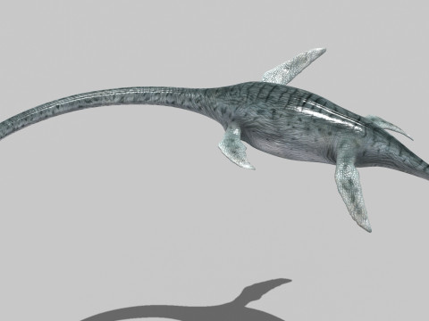 Real Plesiosaur Elasmosaur - 8K Modello 3D