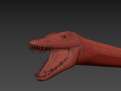Real Plesiosaur Elasmosaur - 8K Modello 3D