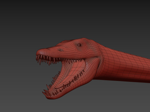 Real Plesiosaur Elasmosaur - 8K Modello 3D