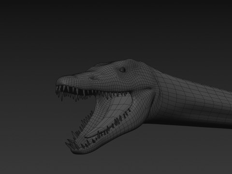 Real Plesiosaur Elasmosaur - 8K Modello 3D