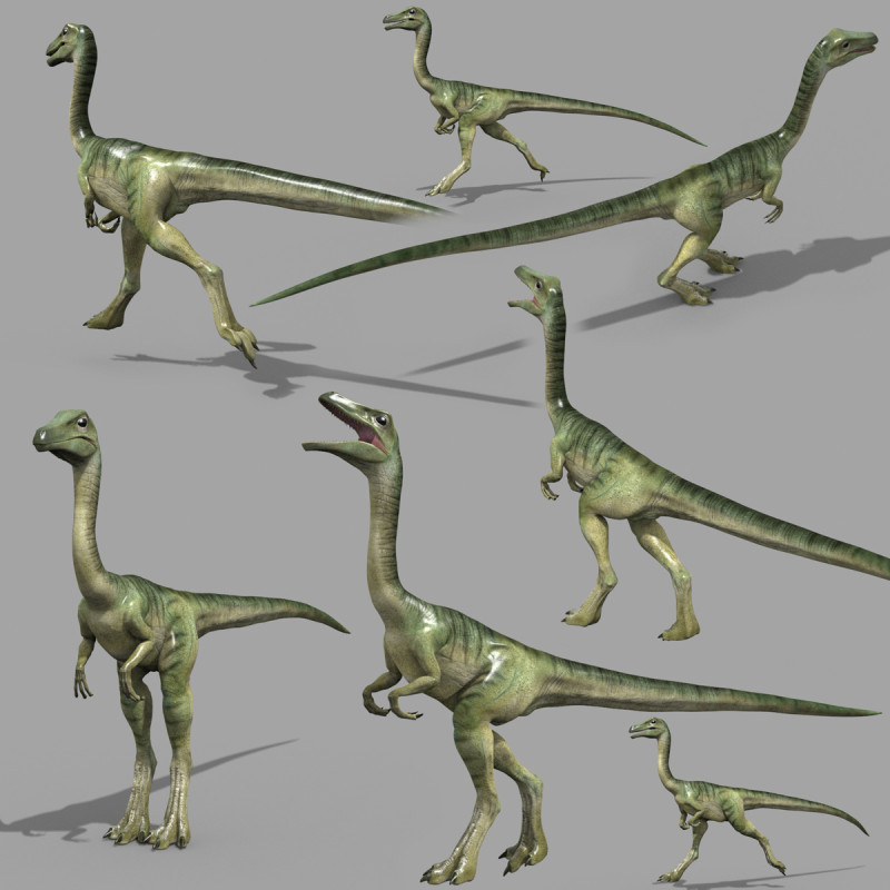 Real Animated Compsognathus - 8K Modelo 3D .c4d .max .obj .3ds .fbx .stl .blend 