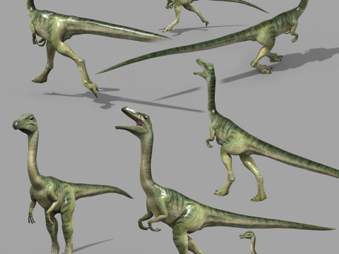 Real Animated Compsognathus - 8K 3D Модель
