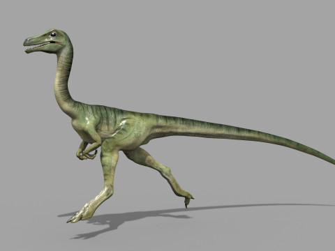 Real Animated Compsognathus - 8K Modelo 3D