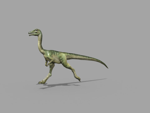 Real Animated Compsognathus - 8K Modelo 3D