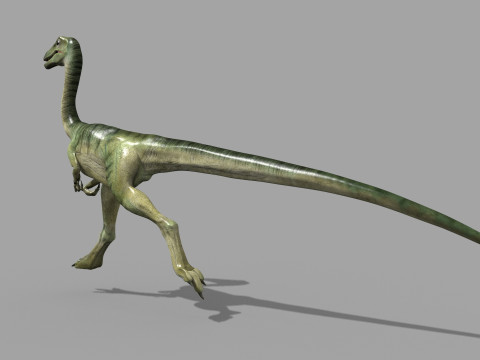 Real Animated Compsognathus - 8K Modelo 3D